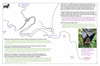 coo1e38 around endeavour mouth_thumb.gif